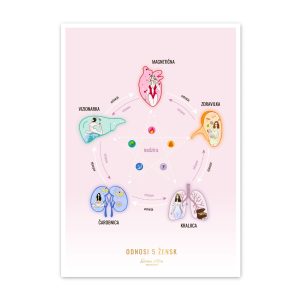 Plakat Odnosi 5 Žensk